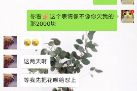 鄢陵要账公司更多成功案例详情